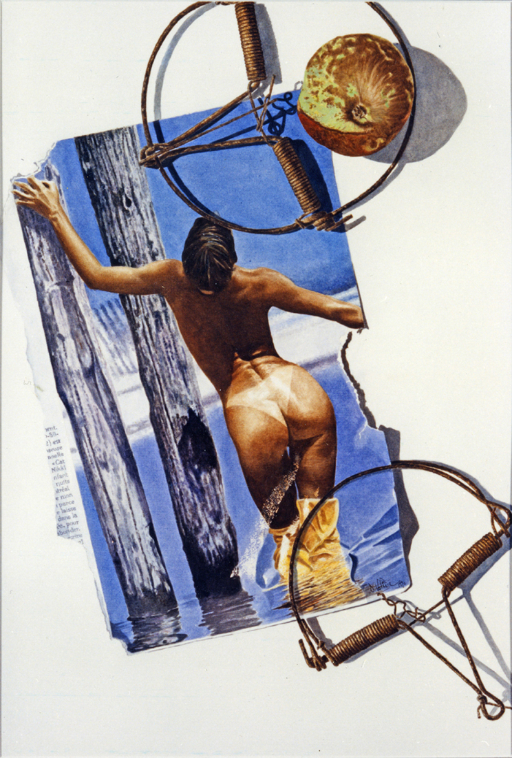 CV EROTIQUE 12 La femme au piege 1991